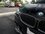 BMW F10 F11 Carbon Fiber Kidney Grilles