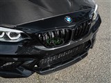 BMW F87 M2 Center Carbon Fiber Front Lip Spoiler / 