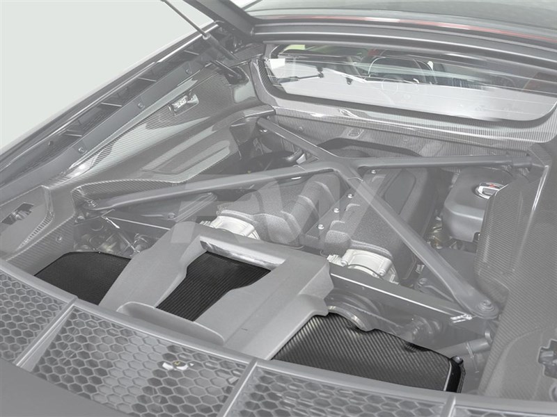 Audi R8 4S Carbon Fiber Engine Bay Trim