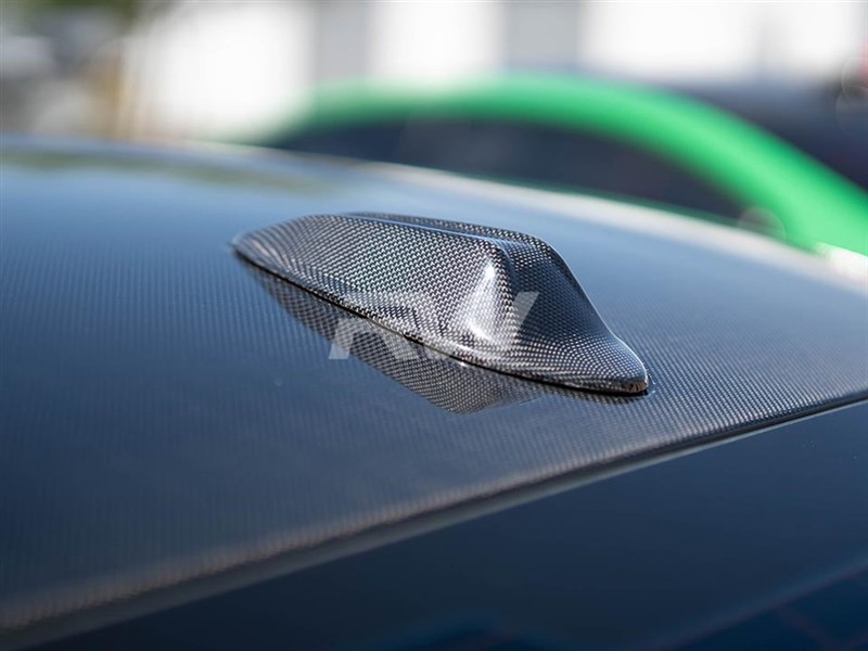 BMW G02 F95 F96 F97 F98 G22 G23 LCI CF Antenna Cover