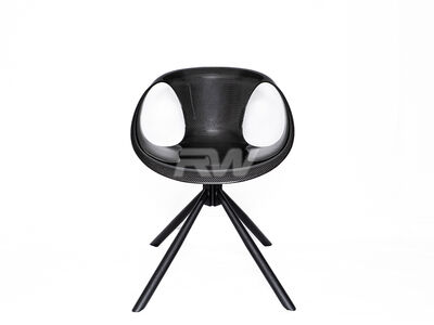 Carbon Fiber Lounge Chair / 
