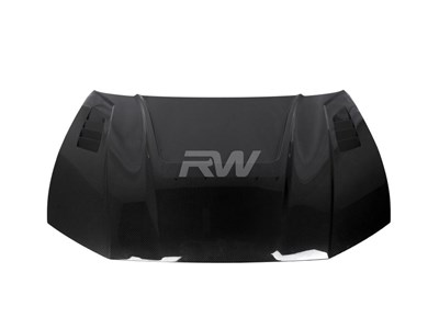 Audi RS6 C8 Avant Dry Carbon Fiber Hood / 