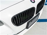 BMW F10 Gloss Black Kidney Grilles / 