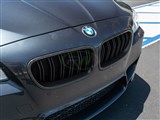BMW F10 Carbon Fiber Double Slat Grilles / 