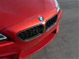 BMW F06 F12 F13 Carbon Fiber Grilles