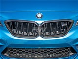 BMW F87 M2 Competition Carbon Fiber Grille / 