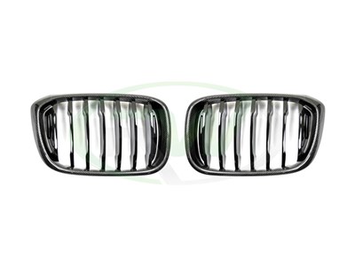 BMW G01 X3 G02 X4 Carbon Fiber Grilles / 