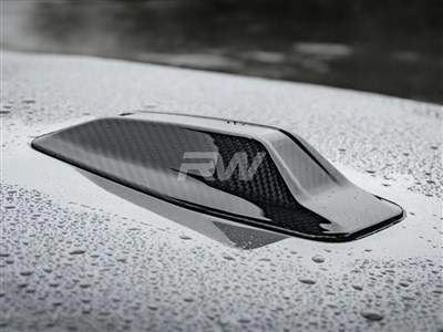 BMW G26 Gran Coupe Carbon Fiber Antenna Cover / 