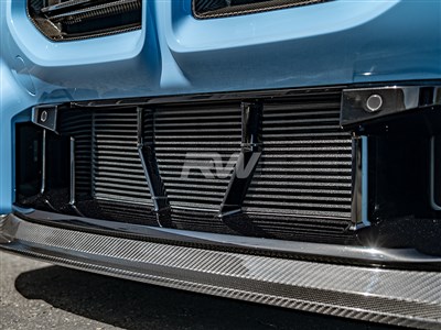 BMW G87 M2 ABS Mesh Lower Grille Guard / 