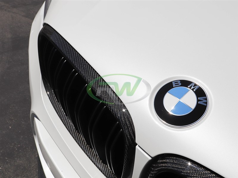 MAX AUTO CARBON Front Grill Nieren Kühlergrill für BMW X5 X6 F15