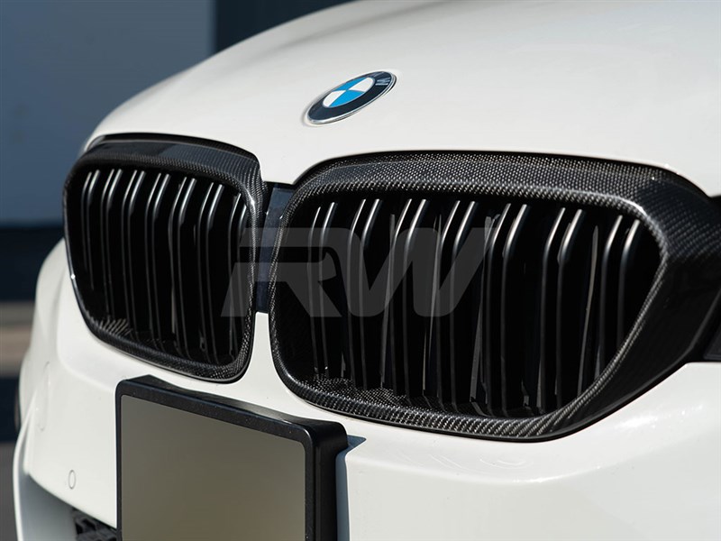 BMW G30 Carbon Fiber Double Slat Grilles 530 540 M550