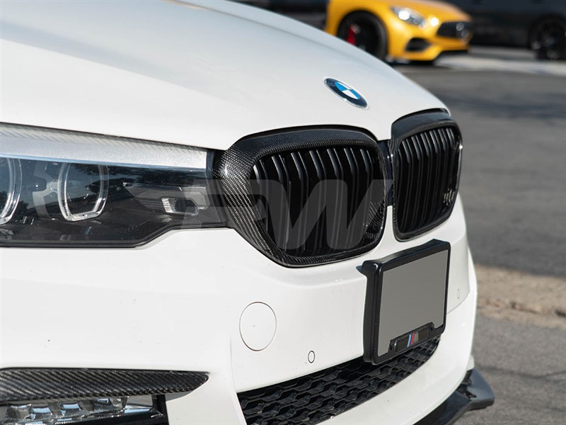 BMW G30 Carbon Fiber Double Slat Grilles 530 540 M550